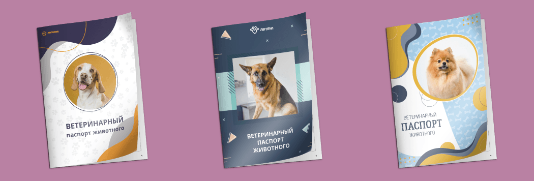 Как заполнять ветеринарный паспорт